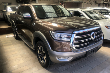 哈尔滨二手长城炮 2019款 2.0T 手自一体 四驱 尊享型